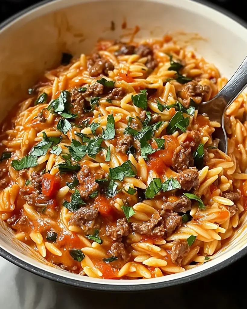 Ground Beef Orzo with Tomato Cream Sauce Ground Beef Orzo with Tomato Cream Sauce